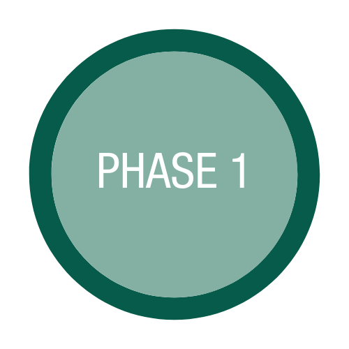 Phase 1