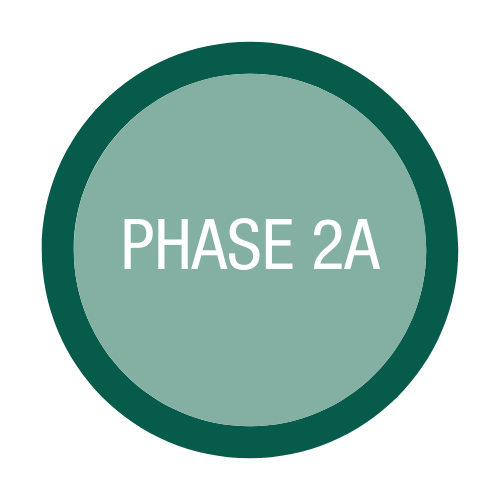Phase 2A