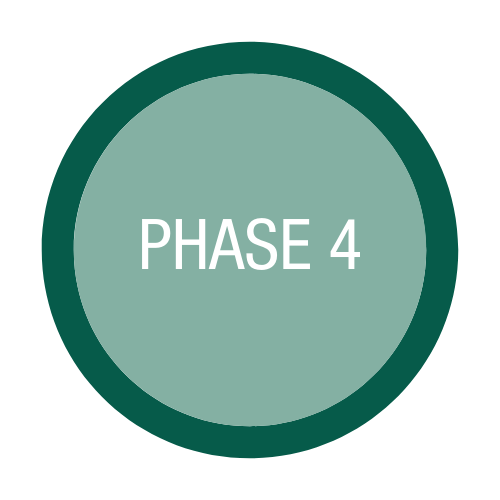 Phase 4