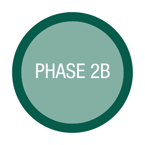 Phase 2B
