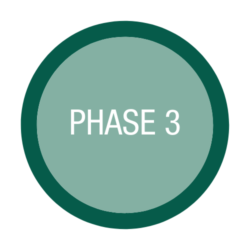 Phase 3